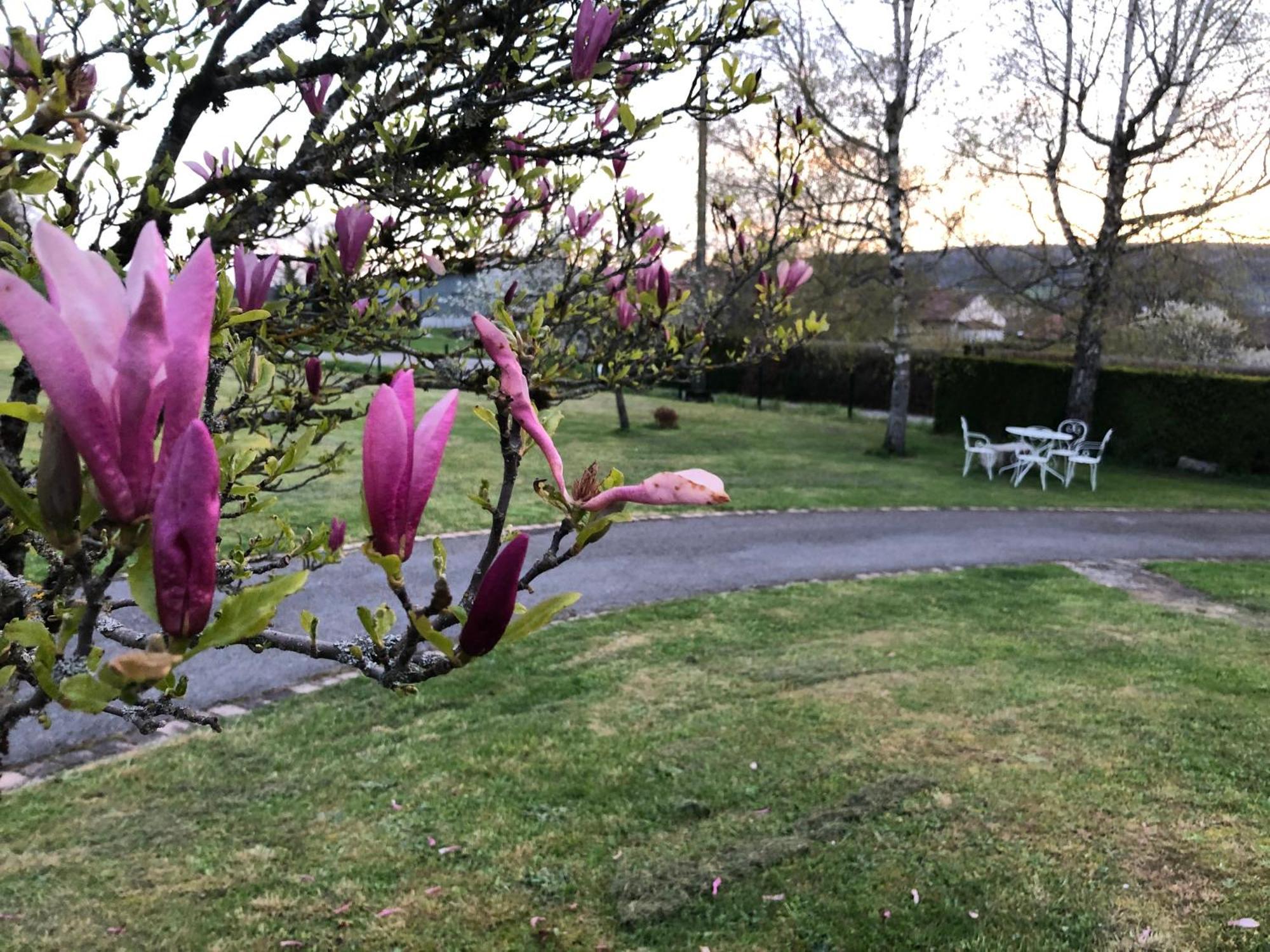 Gite De L'Ancheronne 12 Couchages Spa Villa Lavans-sur-Valouse Eksteriør billede